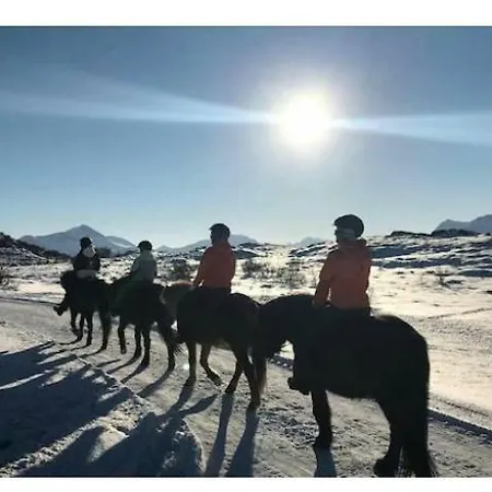 Vakantiehuis Lofoten *